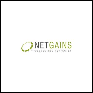 Net-gains-it-company-chandigarh